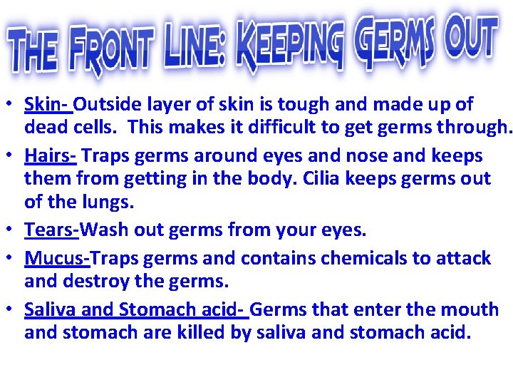  • Skin- Outside layer of skin is tough and made up of dead