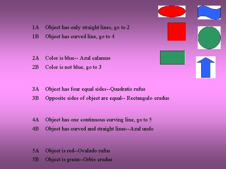 1 A Object has only straight lines, go to 2 1 B Object has