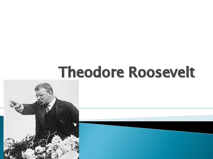 Theodore Roosevelt 