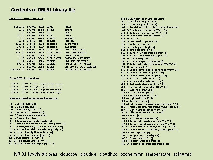 Contents of DBL 91 binary file From BUFR satellite file 2005. 00 1. 00