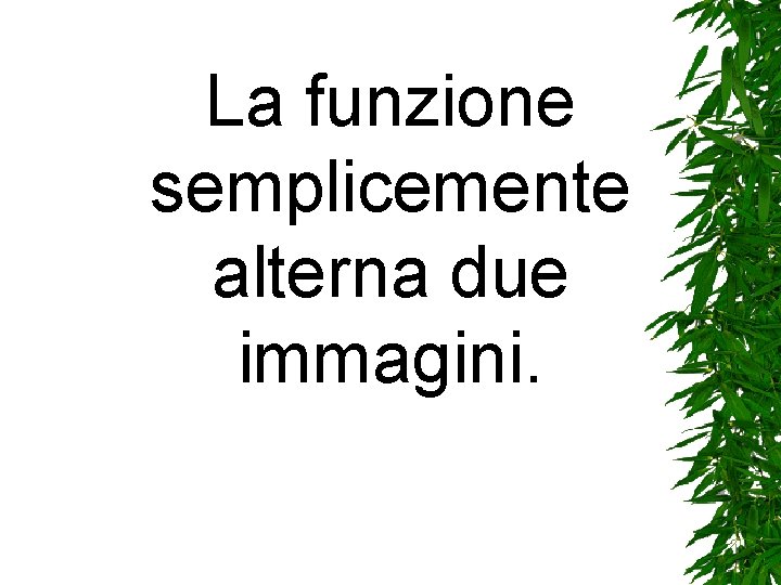 La funzione semplicemente alterna due immagini. La funzione semplicemente alterna due immagini.