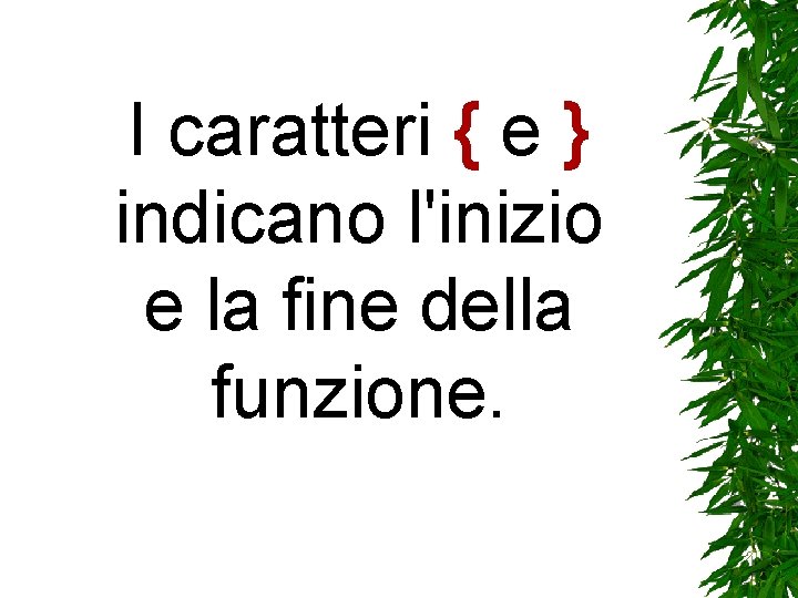 I caratteri { e } indicano l'inizio e la fine della funzione. I caratteri { e } indicano l'inizio e la fine della funzione.