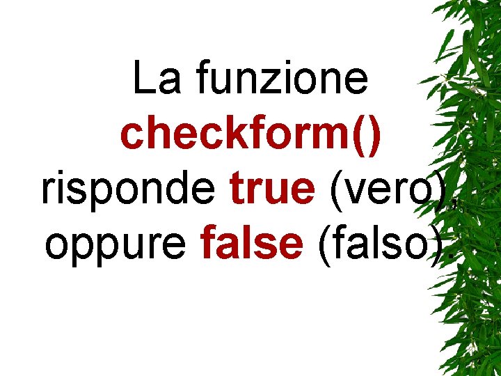 La funzione checkform() risponde true (vero), oppure false (falso). La funzione checkform() risponde true (vero), oppure false (falso).