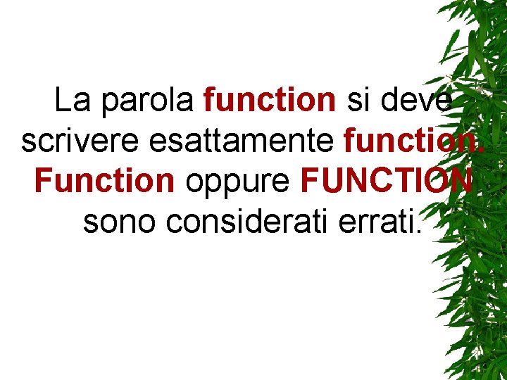 La parola function si deve scrivere esattamente function. Function oppure FUNCTION sono considerati errati. La parola function si deve scrivere esattamente function. Function oppure FUNCTION sono considerati errati.