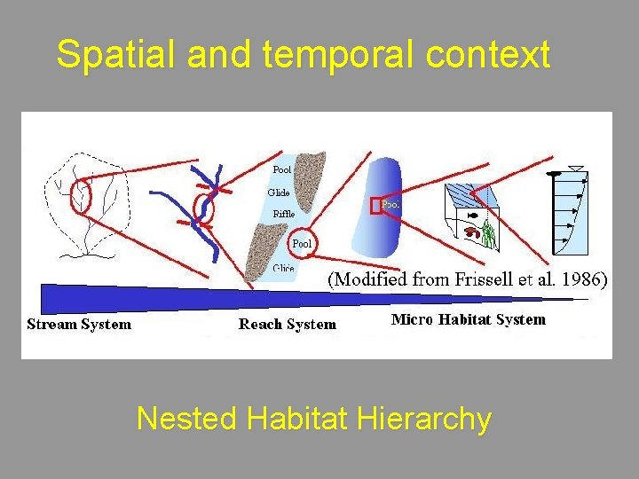 Spatial and temporal context Nested Habitat Hierarchy 