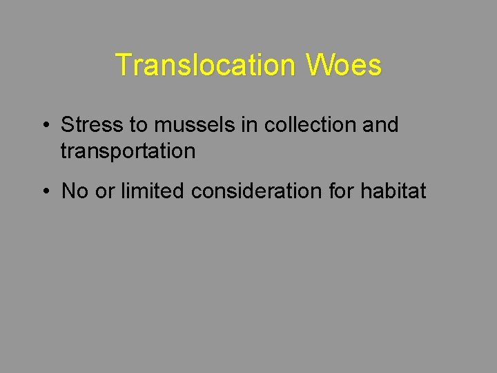 Translocation Woes • Stress to mussels in collection and transportation • No or limited