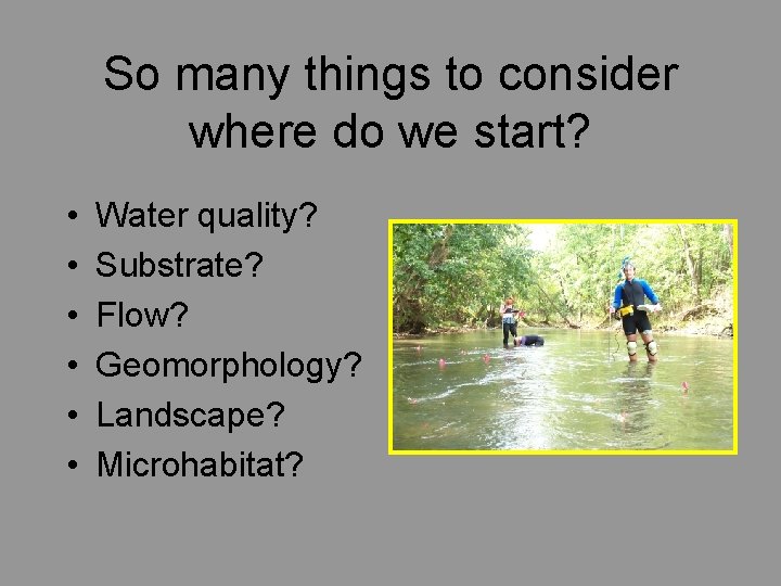 So many things to consider where do we start? • • • Water quality?