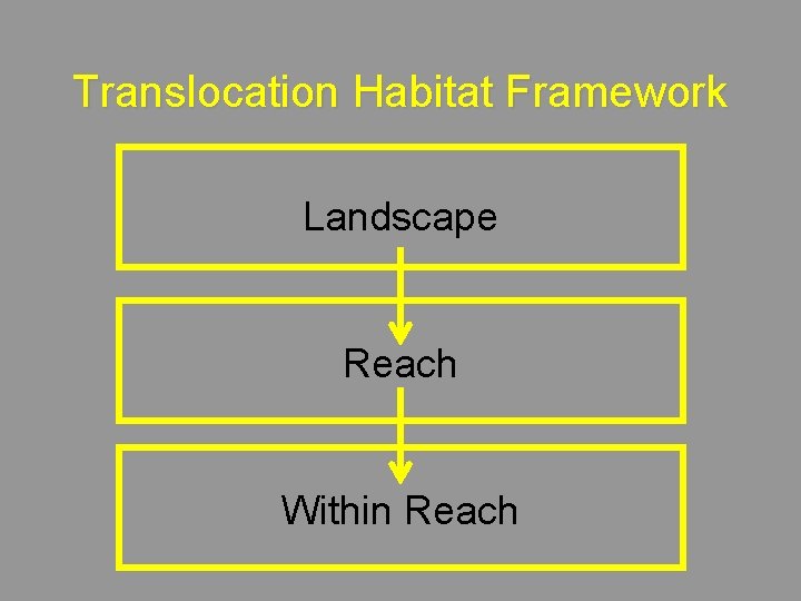 Translocation Habitat Framework Landscape Reach Within Reach 