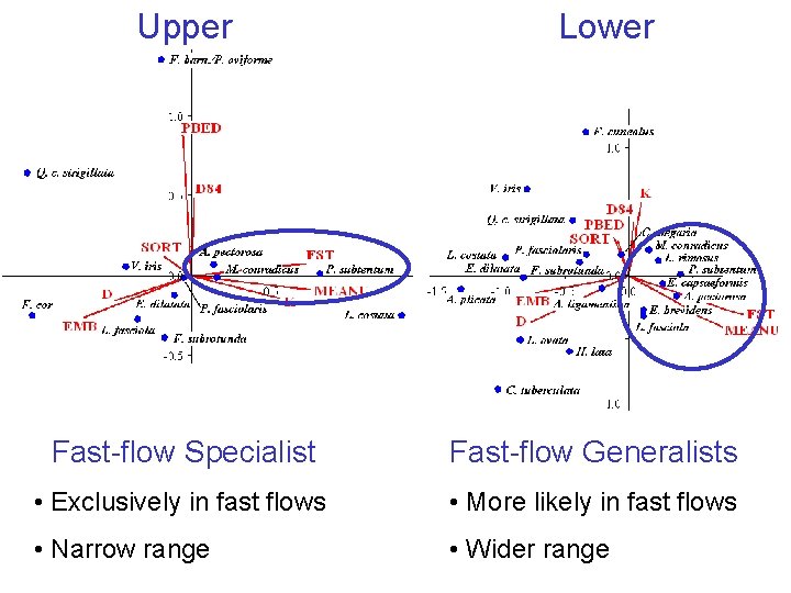 Upper Lower Fast-flow Specialist Fast-flow Generalists • Exclusively in fast flows • More likely