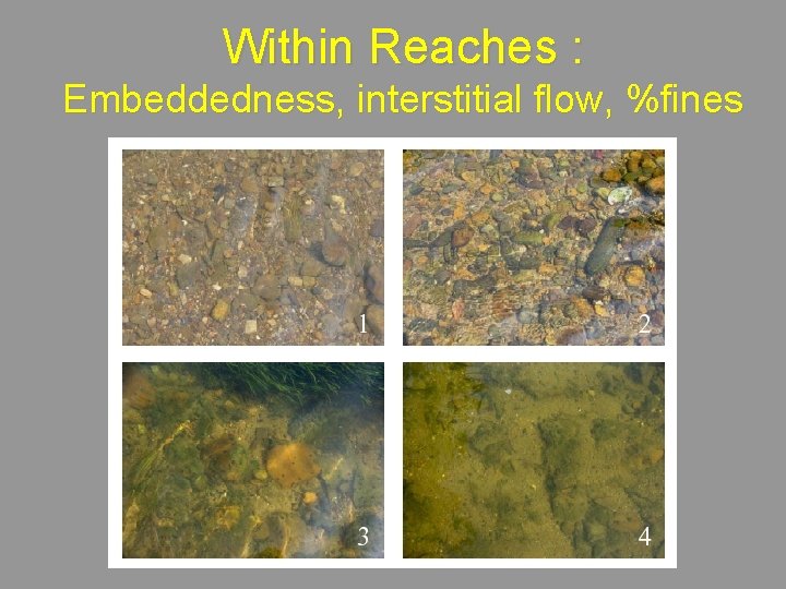 Within Reaches : Embeddedness, interstitial flow, %fines 