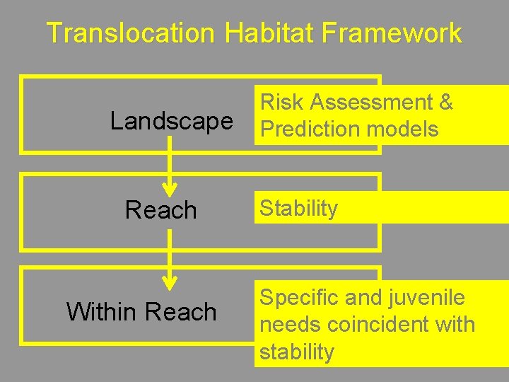Translocation Habitat Framework Landscape Reach Within Reach Risk Assessment & Prediction models Stability Specific