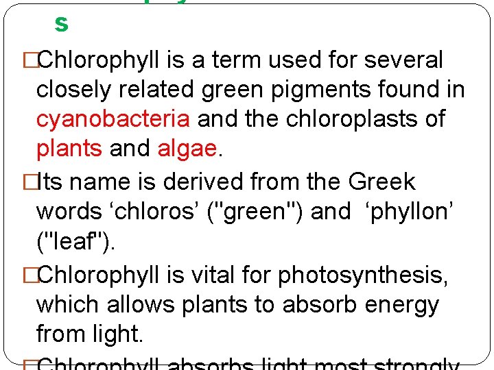 s �Chlorophyll is a term used for several closely related green pigments found in