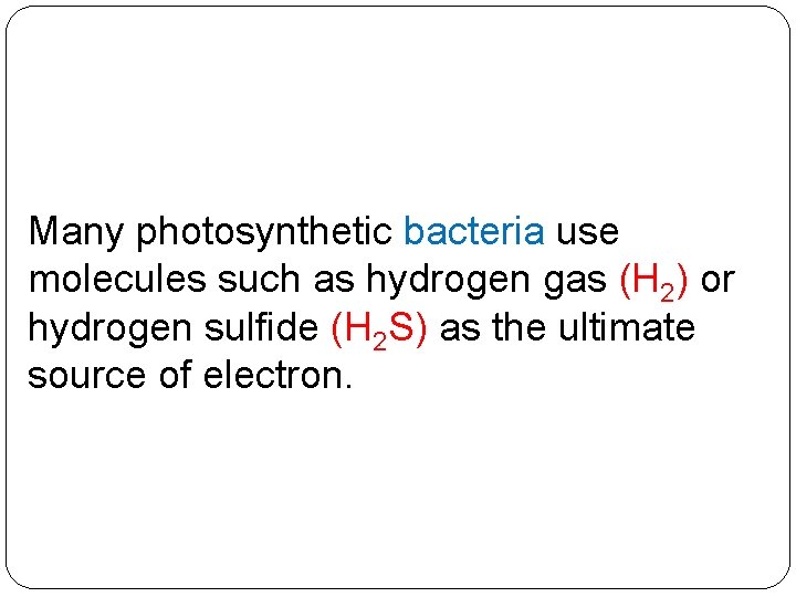 Many photosynthetic bacteria use molecules such as hydrogen gas (H 2) or hydrogen sulfide