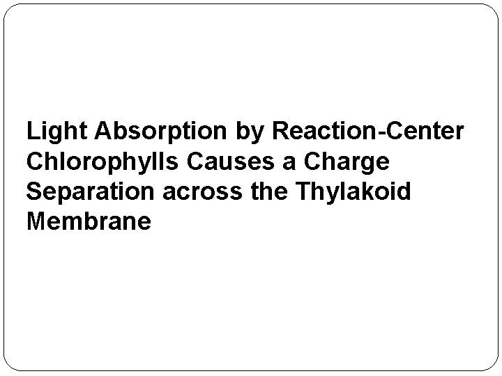 Light Absorption by Reaction-Center Chlorophylls Causes a Charge Separation across the Thylakoid Membrane 