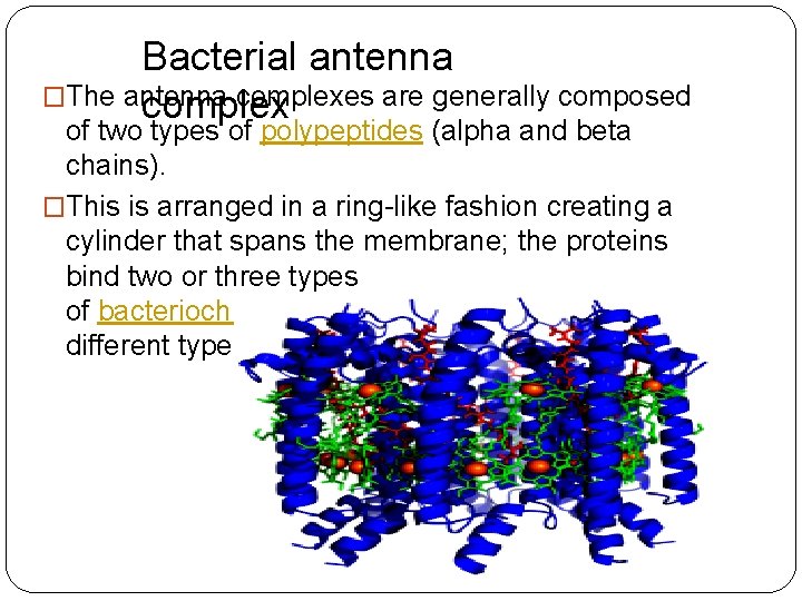 Bacterial antenna �The antenna complexes are generally composed complex of two types of polypeptides