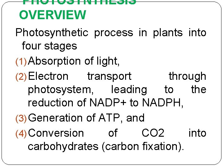 PHOTOSYNTHESIS OVERVIEW Photosynthetic process in plants into four stages (1) Absorption of light, (2)