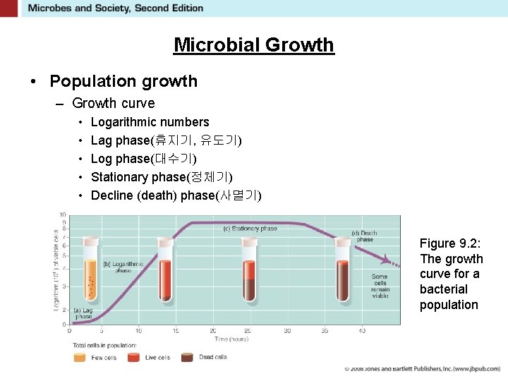 Microbial Growth • Population growth – Growth curve • • • Logarithmic numbers Lag