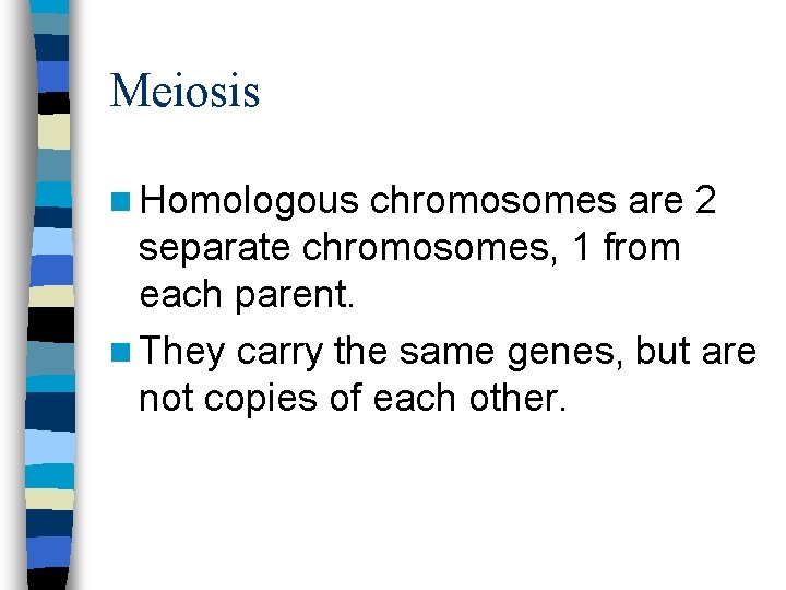 Meiosis n Homologous chromosomes are 2 separate chromosomes, 1 from each parent. n They