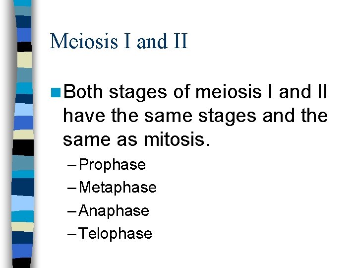 Meiosis I and II n Both stages of meiosis I and II have the