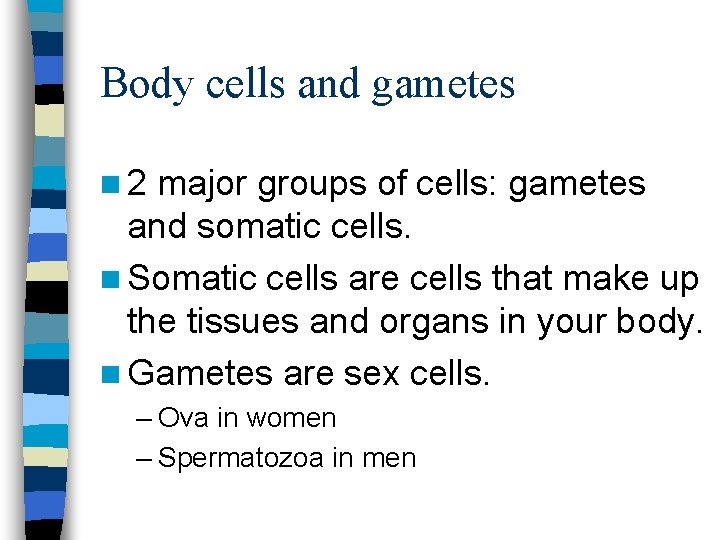 Body cells and gametes n 2 major groups of cells: gametes and somatic cells.