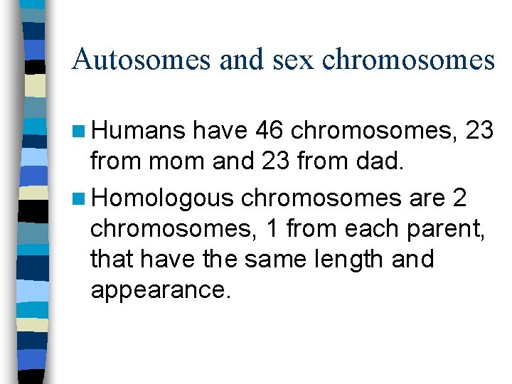 Autosomes and sex chromosomes n Humans have 46 chromosomes, 23 from mom and 23