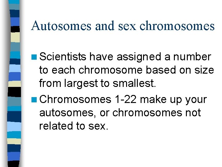 Autosomes and sex chromosomes n Scientists have assigned a number to each chromosome based