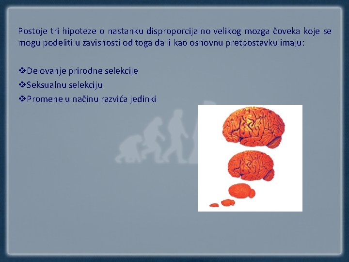 Postoje tri hipoteze o nastanku disproporcijalno velikog mozga čoveka koje se mogu podeliti u