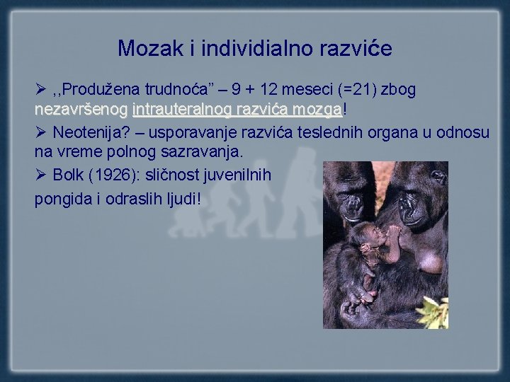 Mozak i individialno razviće Ø , , Produžena trudnoća” – 9 + 12 meseci