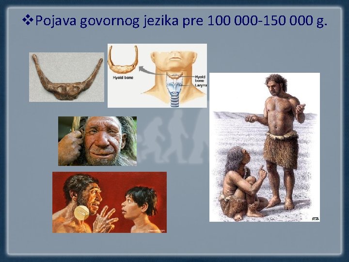 v. Pojava govornog jezika pre 100 000 -150 000 g. 