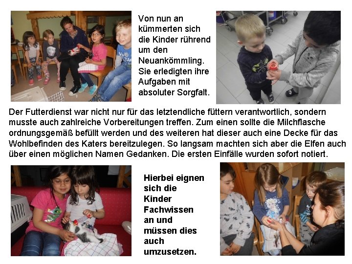 Von nun an kümmerten sich die Kinder rührend um den Neuankömmling. Sie erledigten ihre