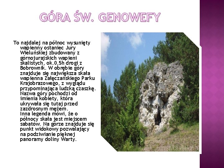 GÓRA ŚW. GENOWEFY To najdalej na północ wysunięty wapienny ostaniec Jury Wieluńskiej zbudowany z