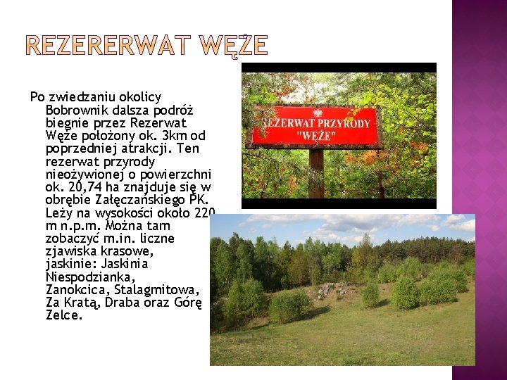 Po zwiedzaniu okolicy Bobrownik dalsza podróż biegnie przez Rezerwat Węże położony ok. 3 km