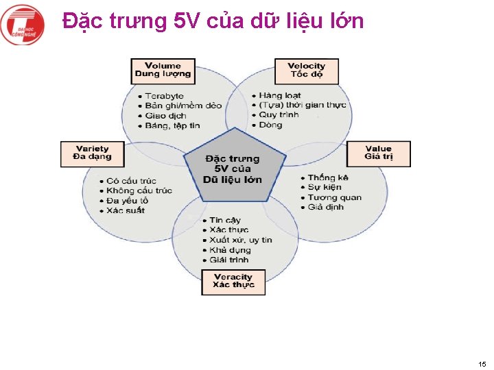 Đặc trưng 5 V của dữ liệu lớn 15 