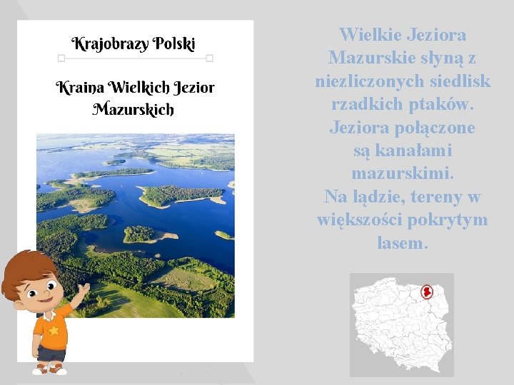 Wielkie Jeziora Mazurskie słyną z niezliczonych siedlisk rzadkich ptaków. Jeziora połączone są kanałami mazurskimi.