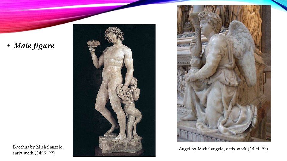  • Male figure Bacchus by Michelangelo, early work (1496– 97) Angel by Michelangelo,