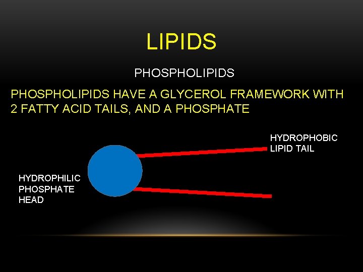 LIPIDS PHOSPHOLIPIDS HAVE A GLYCEROL FRAMEWORK WITH 2 FATTY ACID TAILS, AND A PHOSPHATE