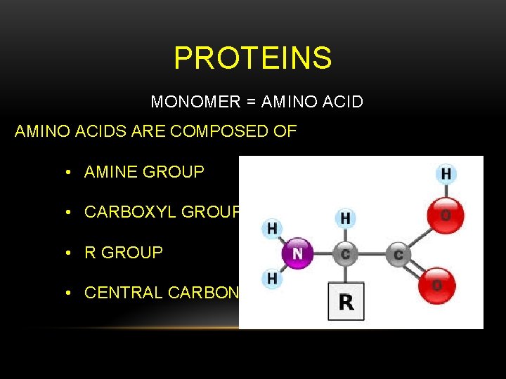 PROTEINS MONOMER = AMINO ACIDS ARE COMPOSED OF • AMINE GROUP • CARBOXYL GROUP