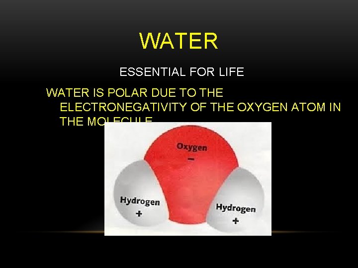 WATER ESSENTIAL FOR LIFE WATER IS POLAR DUE TO THE ELECTRONEGATIVITY OF THE OXYGEN
