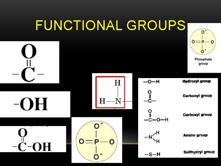 FUNCTIONAL GROUPS 