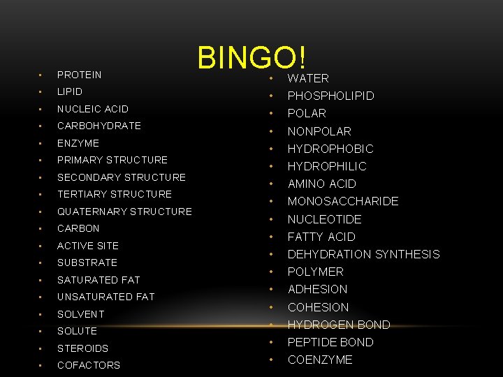  • PROTEIN • BINGO! • WATER LIPID • PHOSPHOLIPID • NUCLEIC ACID •