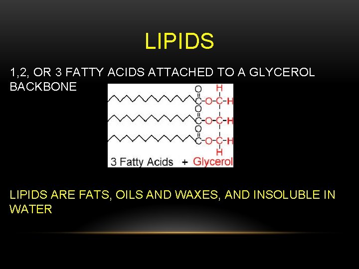 LIPIDS 1, 2, OR 3 FATTY ACIDS ATTACHED TO A GLYCEROL BACKBONE LIPIDS ARE