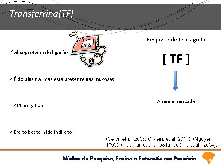 Transferrina(TF) Resposta de fase aguda üGlicoproteína de ligação - [ TF ] üÉ do