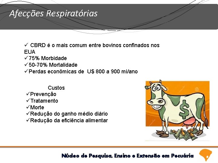 Afecções Respiratórias ü CBRD é o mais comum entre bovinos confinados nos EUA ü