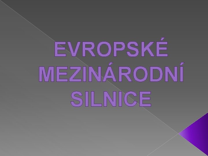 EVROPSKÉ MEZINÁRODNÍ SILNICE 