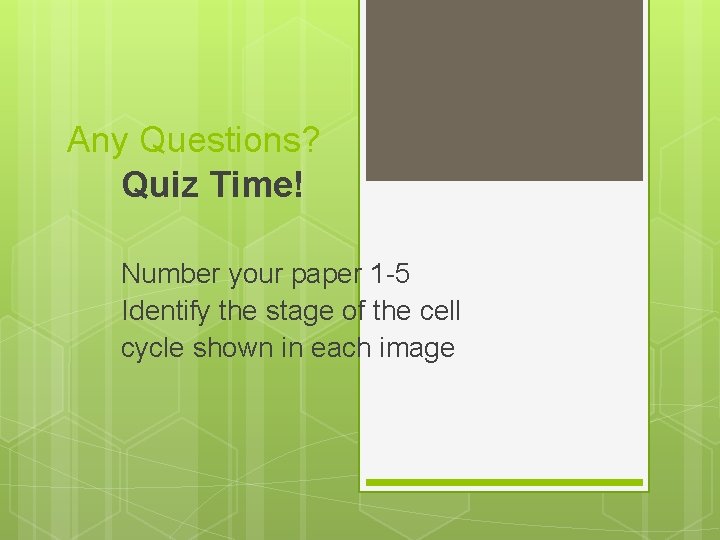 Any Questions? Quiz Time! Number your paper 1 -5 Identify the stage of the