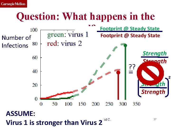 Question: What happens in the Footprint @ Steady State end? green: virus 1 Footprint Question: What happens in the Footprint @ Steady State end? green: virus 1 Footprint