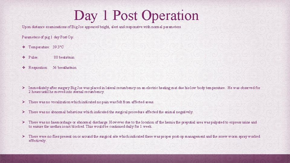 Day 1 Post Operation Upon distance examinations of Big Joe appeared bright, alert and