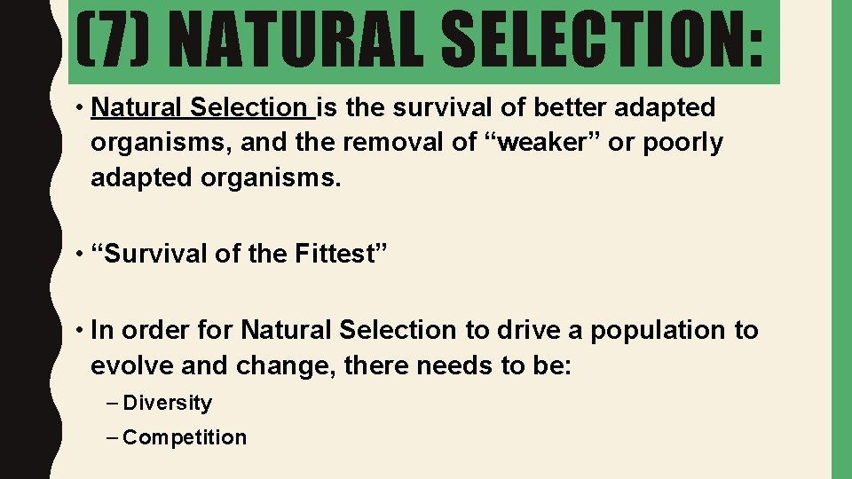 (7) NATURAL SELECTION: • Natural Selection is the survival of better adapted organisms, and