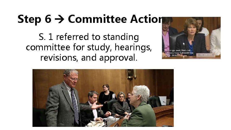 Step 6 Committee Action S. 1 referred to standing committee for study, hearings, revisions,