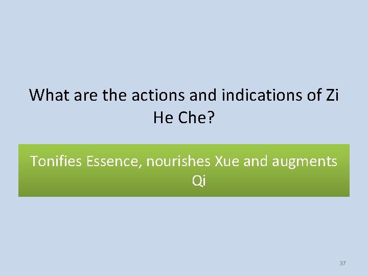 What are the actions and indications of Zi He Che? Tonifies Essence, nourishes Xue